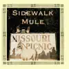 Sidewalk Mule - Missouri Picnic