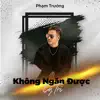 Pham Truong - Không Ngăn Được Lý Trí - Single