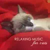 Pet Care Music Therapy - Relaxing Music for Cats - Soothing Classical Songs and Ambient Nature Sounds for Pet Therapy