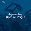 Dom Donnelly & Penelope - Anjunadeep Open Air Prague (DJ Mix)