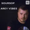 Soursop - Arey Vibes (DJ Mix)