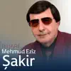 Mehmud Ezîz Şakir - Biharê