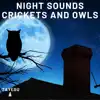 TAYEGU - Night Sounds Crickets and Owls Summer Night Dog Barking 1 Hour Relaxing Nature Ambient Yoga Meditation Sounds For Sleeping Relaxation or Studying