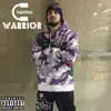 Chipinkos - Warrior