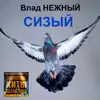 Vlad Nezhniy - Сизый. Золотые хиты шансона