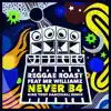 Reggae Roast - Never B4 (feat. Mr. Williamz) [King Yoof Dancehall Remix] - Single