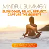 DJ Wild Leo - Mindful Summer: Slow Down, Relax, Reflect, Capture the Moment