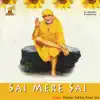 Shankar Sahney & Paras Jain - Sai Mere Sai - EP