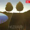 Nezmaři - Nezmaři