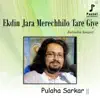 Pulaha Sarkar - Ekdin Jara Merechhilo Tare Giye - Single