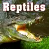 Sound Ideas - Reptiles Sound Effects