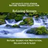 David & Steve Gordon Natural Elements - Relaxing Stream: Nature Sounds for Serene Meditation