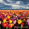 Vladimir Sterzer - Country of Flowers - Single