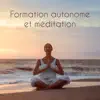 Ensemble de Musique Zen Relaxante, Zen Méditation Ambiance & Oasis de sommeil - Formation autonome et méditation: Musique pour les techniques de formation et de relaxation biofeedback, Méditation et contrôle du corps, Sons pour la relaxation musculaire et le bien-être