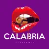 Dj Alan Quiñonez - Calabria (Aleteo Mix) - Single