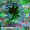 Payvics - Only the Ganja - Single