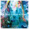 Various Artists - A Tribe Called Kotori