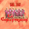 La Concentracion - La Concentracion, Vol.14