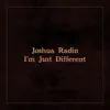 Joshua Radin - I'm Just Different - Single