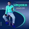 uNjoko - Amadlebe