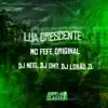 MC Fefe Original, DJ Nog, DJ GH7 & DJ Lobão ZL - Lua Crescente - Single