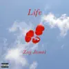 Zay Jamal - Life - Single