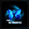 Basara - Rap do Chouji: Como Metamorfose - Single