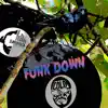 Cold Sweat - Funk Down (feat. Barbaiza) - Single