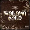 TANA P - Malawi Gold