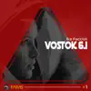 Ika Faccioli - Vostok 6.1 - Single