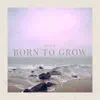 Bailie - Born to Grow - Single