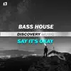 Bass house - Say It's Okay - Single