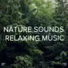 Deep Sleep, Sleep Sound Library & BodyHI - !!!\