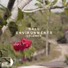 Global Sound Movement - Bali Environments Volume 2