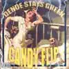 Dende Stays Green - Candy Flip - Single