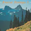 Praise Strings - Praise Strings, Vol. 5