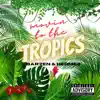 Limitless Vibrations - Moving to the tropics (feat. Barzen) - Single