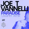 Joe T. Vannelli - Paradise (CASSIMM Remix) - Single