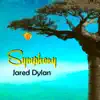 Jared Dylan - Symphony - Single