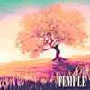 Dj Dillard - Temple - Single