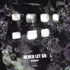 WeekNine - Never Let Go - Single