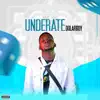 Dollarboy - Underrate - Single