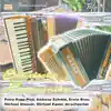 Various Artists - Steirische Harmonika Folge 2