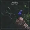 Supervisor - Fantasy - EP