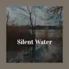 Various Artists - Silent Water