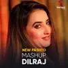 Dilraj - Mashup - Single