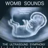 The Ultrasound Symphony - Womb Sounds for Meditation, Relaxation, And Sleep