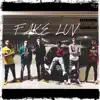 17 Youngin - Fake Luv - Single