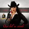 LILI ZETINA - Que Tal Se Siente (Con Banda Los Populares Del Llano) - Single