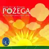 Various Artists - Zlatne Žice Slavonije, Požega 1969.-2006.